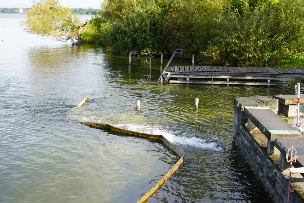 Am Ufer des Greifensees fliesst Wasser aus einer Leitung in den See.